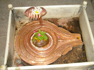 Information about dwadasa jyotirlingas,jyotirlinga darshan and twelve shiva temples jyotirlingas in india